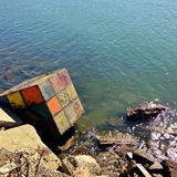 Telegram profile photo for how to solve a