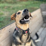 Telegram profile photo for Мухтаридзе