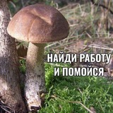 Telegram profile photo for Шампиньонов сортир 👅🍄🟫