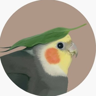 Telegram profile photo for parrots π¦π₯