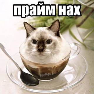 Telegram profile photo for нику в 100 метрах от вас