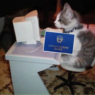 Telegram profile photo for Де-факто Викуська