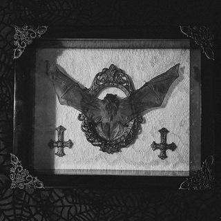 Telegram profile photo for STATUS ⍖ VINTAGE & ReMADE.