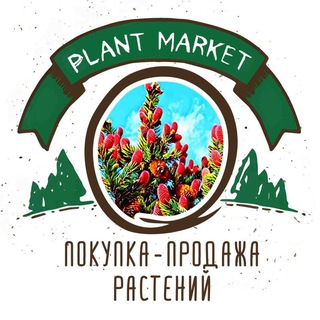 Telegram profile photo for The Plant Market |Покупка-Продажа Растений