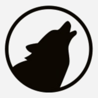 Telegram profile photo for Трансивер "Волк" (TRX Wolf)