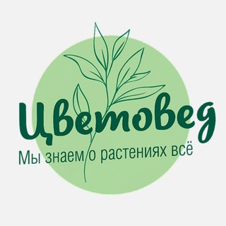 Telegram profile photo for Цветовед