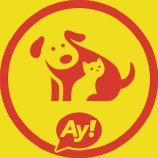 Telegram group profile photo for Домашние животные Вьетнам