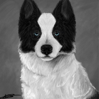 Telegram profile photo for конкурсы vasiik