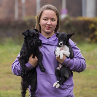 Telegram profile photo for Моя и собачья жизнь🐶