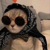 Telegram profile photo for لحظة ادراك: