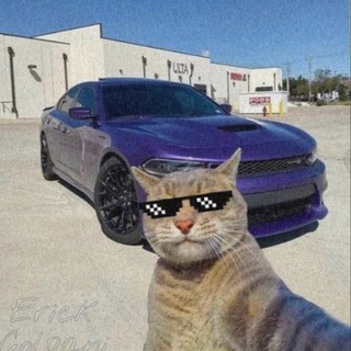 Telegram profile photo for The Land of Humor