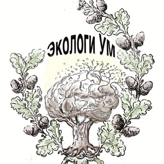 Telegram profile photo for АНО «ЭкологиУМ»