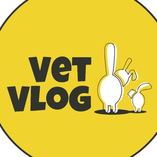 Telegram profile photo for VetVlog(ВетВлог) Ветеринарная ОНКОЛОГИЯ и не только👨🏻⚕️