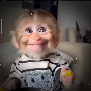 Telegram profile photo for Дядько•Торнадо UC SHOP