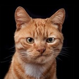 Telegram profile photo for Креативная WOW реклама
