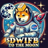 Telegram profile photo for $DWIFB | Community Channel