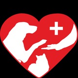 Telegram profile photo for Краснодог INSIDE
