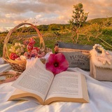 Telegram profile photo for 📚ᴋнижный ᴩᴀй🌷