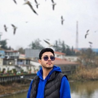 Telegram profile photo for مرتضی زنگنه | مدیر محتوای دلتا