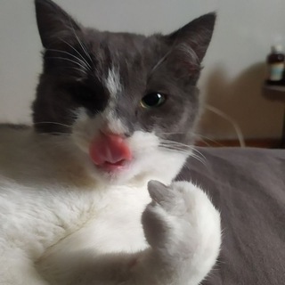 Telegram profile photo for Один твій друг Опездал | PDB