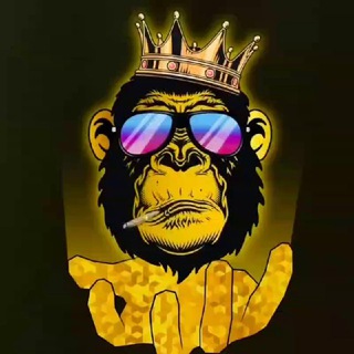 Telegram group profile photo for CRYPTO HACHIKO 🇮🇹