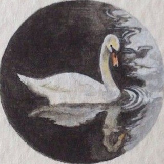 Telegram profile photo for 🦢. swantastic