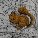 Telegram profile photo for оладушек🥸