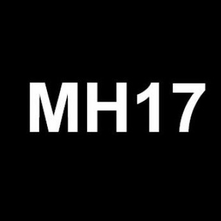 Telegram profile photo for MH17