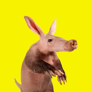 Telegram profile photo for Aardvark Entry Portal - $ARDVRK
