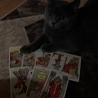 Telegram profile photo for Карти знають🪬