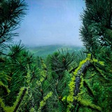 Telegram profile photo for Красота на ладони🏞