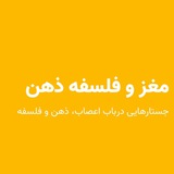 Telegram profile photo for ویرگول مغز و فلسفهٔ ذهن