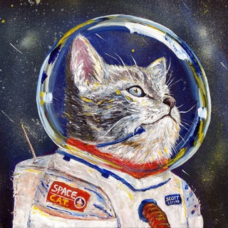 Telegram profile photo for فلك (201) المنهج المحدث👨🚀👨🏻🚀