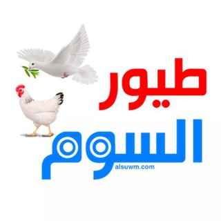 Telegram profile photo for مواشي + دواجن + طيور