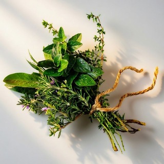 Telegram profile photo for 🍀Mansoura Herbalists🍀