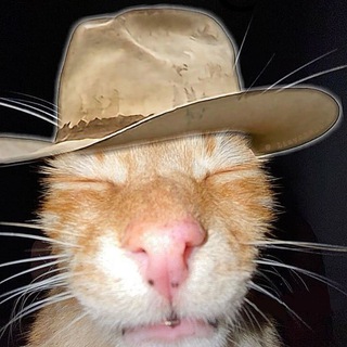 Telegram profile photo for Твикс абузит