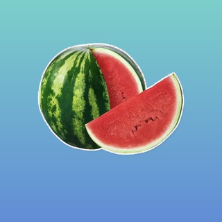Telegram profile photo for Арбузная команда