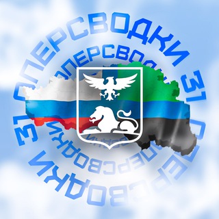 Telegram profile photo for 🇷🇺ОперСводки 31🇷🇺