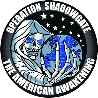 Telegram profile photo for The American Awakening