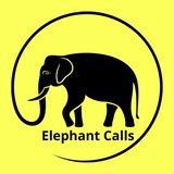 Telegram profile photo for Elephant Calls