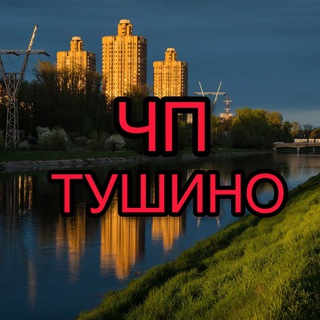 Telegram profile photo for Тушино ЧП