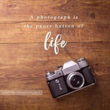 Telegram profile photo for Photography Is Life 📸🤳💞