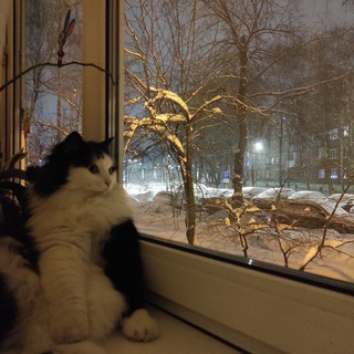 Telegram profile photo for Рест WIA art