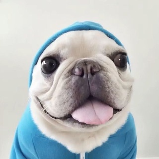 Telegram profile photo for джига шутер