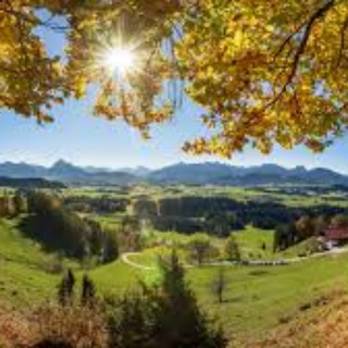 Telegram profile photo for West-Allgäu - Wohlfühlen -Einkaufen & mehr