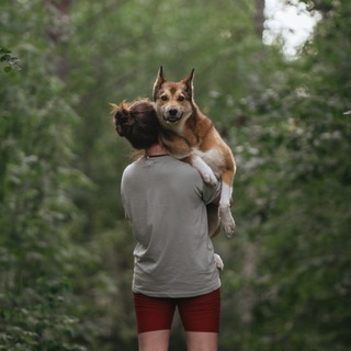 Telegram profile photo for Ездовая белка