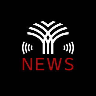 Telegram profile photo for النخلة نيوز -AlNakhla News