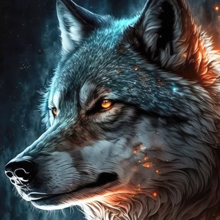 Telegram profile photo for 【泉州晋江公开榜】- 阿狼精选🐺友群