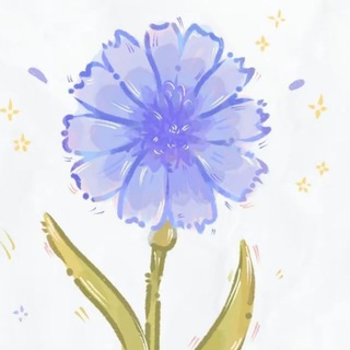 Telegram profile photo for Правила