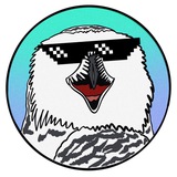 Telegram profile photo for Биполярная сова 🦉 | Мемы и Юмор
